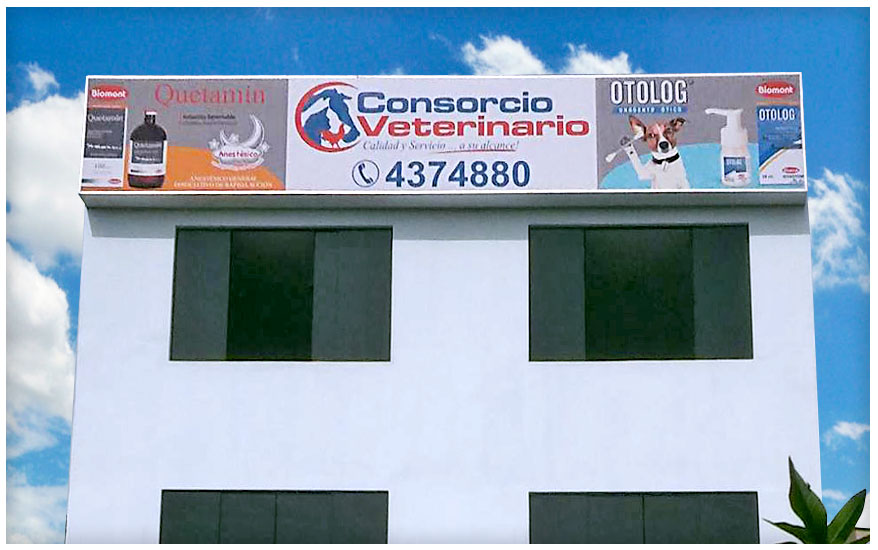  LETREROS LUMINOSOS LIMA PERU, LETREROS LUMINOSOS EN LIMA, LETREROS LUMINOSOS PARA NEGOCIOS, LETREROS LUMINOSOS LED LIMA, LETREROS LUMINOSOS LED, LETREROS 3D LUMINOSOS, LETREROS DE NEON LIMA 