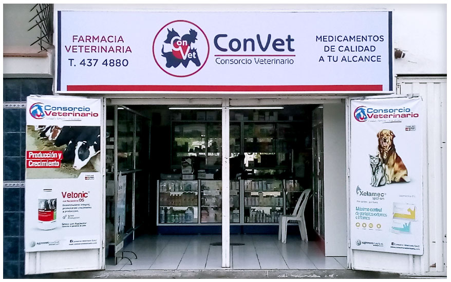  LETREROS LUMINOSOS LIMA PERU, LETREROS LUMINOSOS EN LIMA, LETREROS LUMINOSOS PARA NEGOCIOS, LETREROS LUMINOSOS LED LIMA, LETREROS LUMINOSOS LED, LETREROS 3D LUMINOSOS, LETREROS DE NEON LIMA 